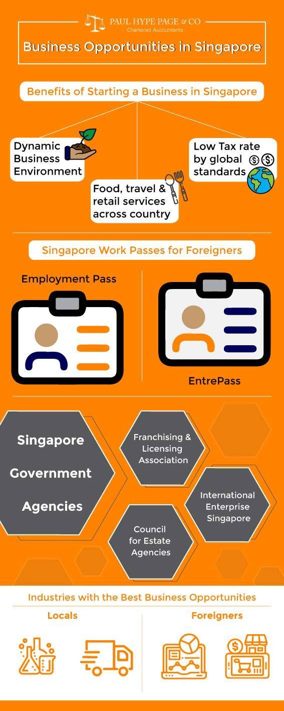 SG Business Opportunities Guide Infographic SG Business Opportunities Guide Infographic