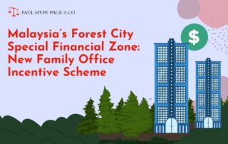 Malaysia's Forest City SFZ | Paul Hype Page Malaysia